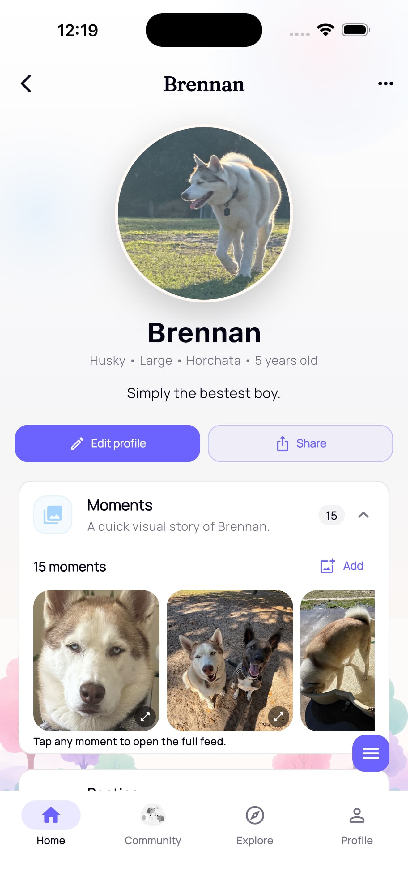 Brennan’s PawPack profile, with his photo and shared moments