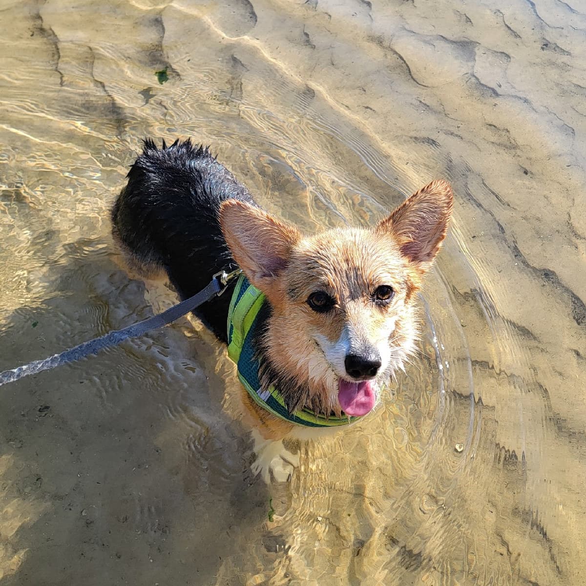Fiona