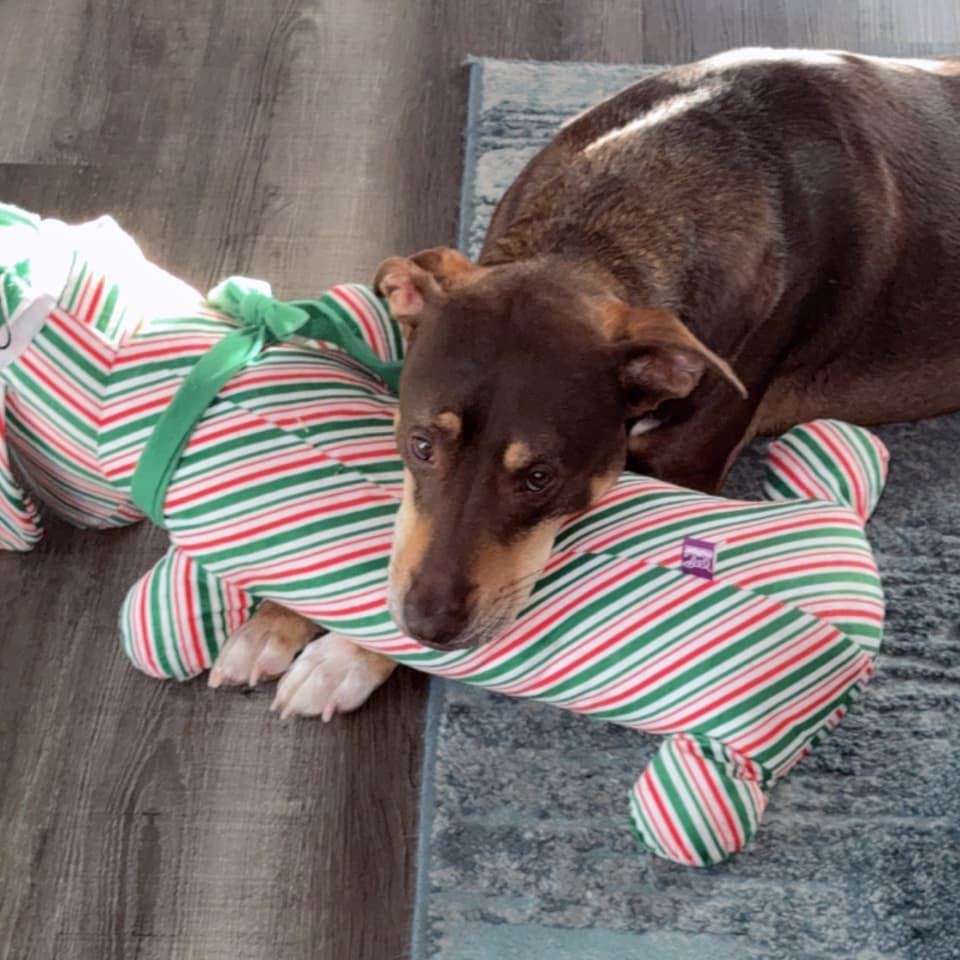 Max