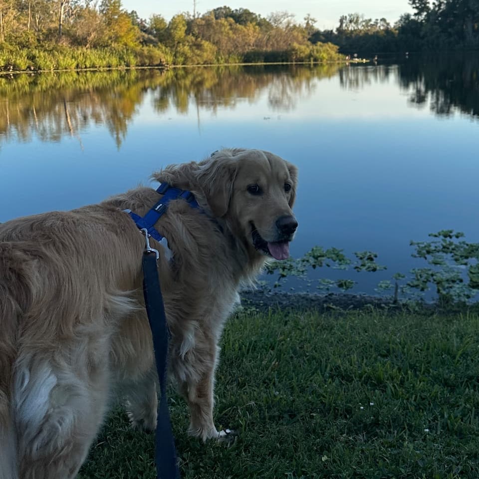 Kona