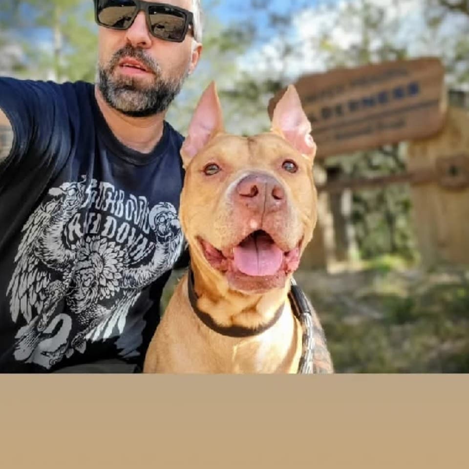 Cyborg the dog