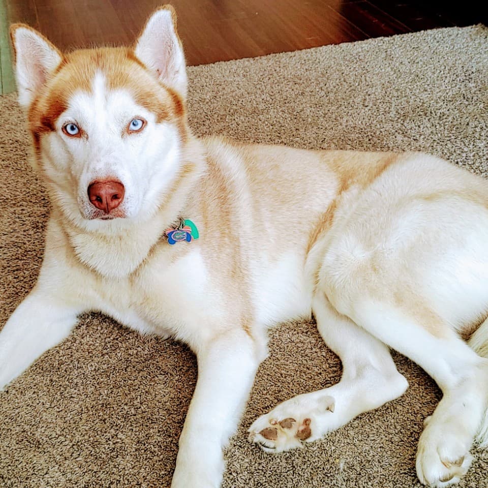 Max