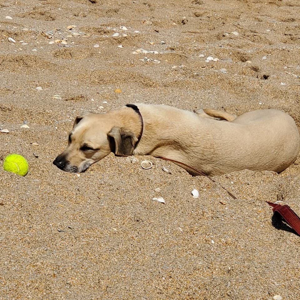 Zeke
