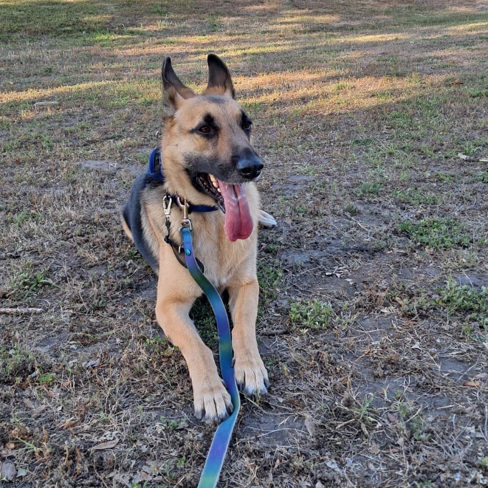 Max