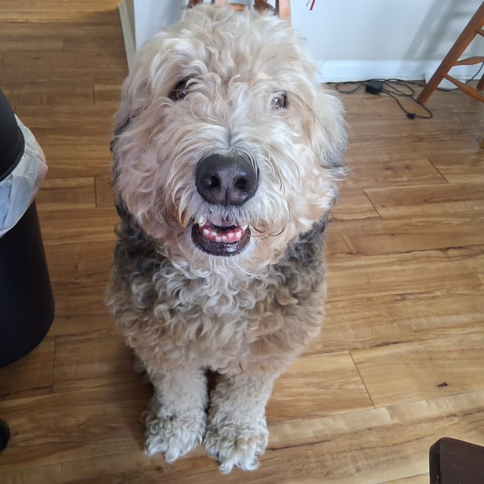 Booker