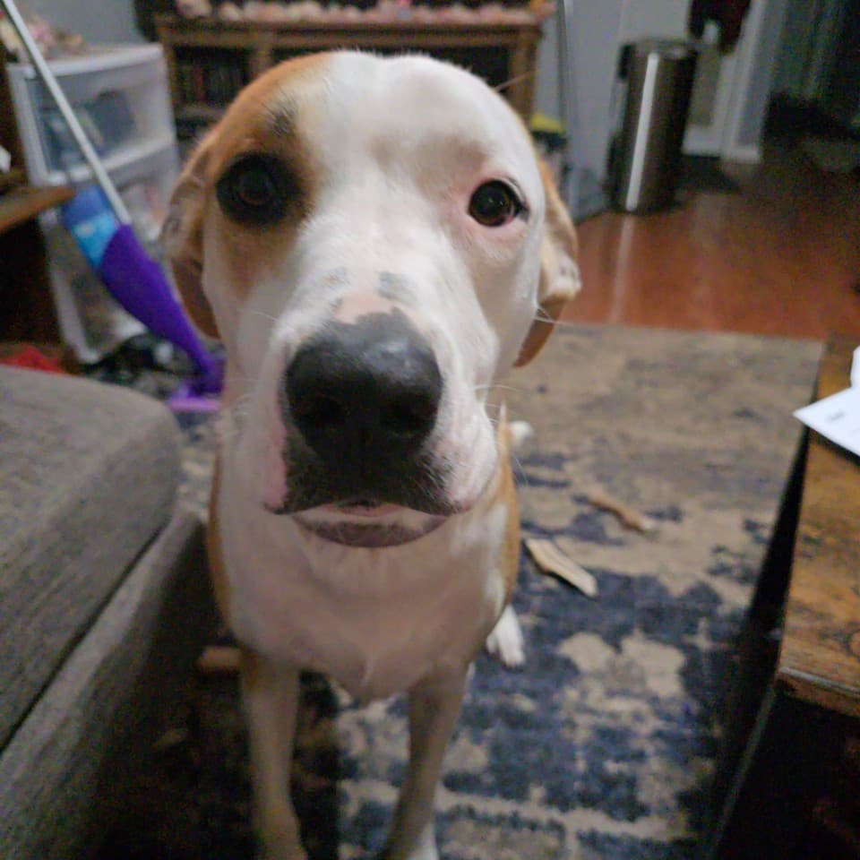 George