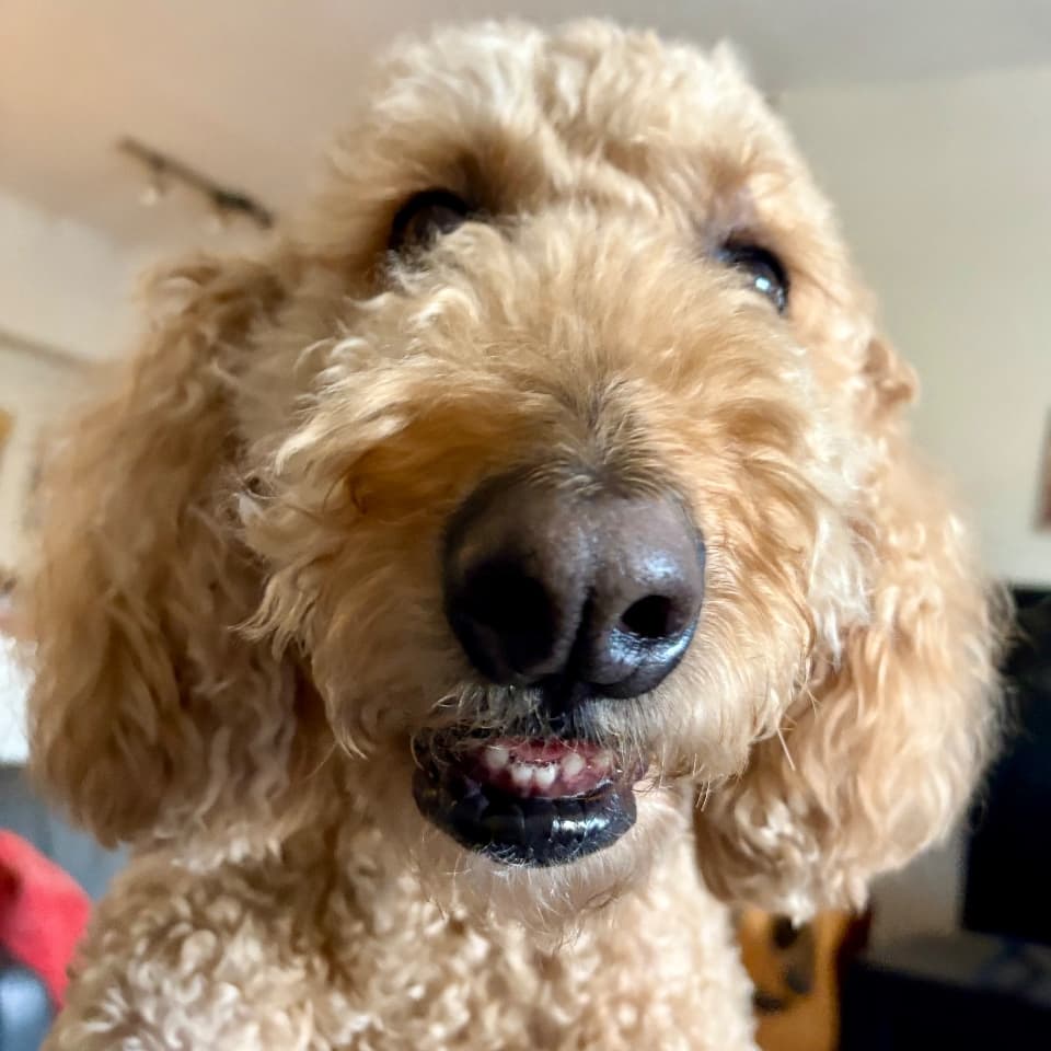 Jude