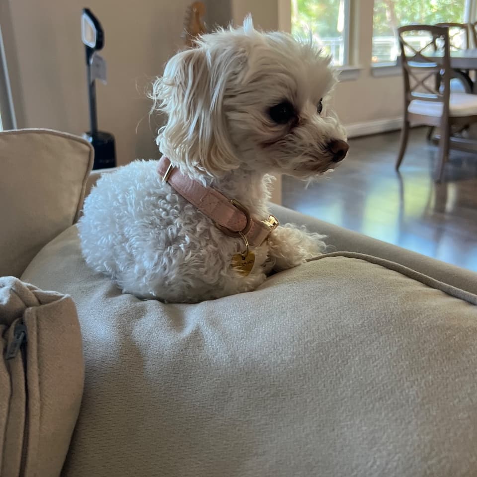 Zoey