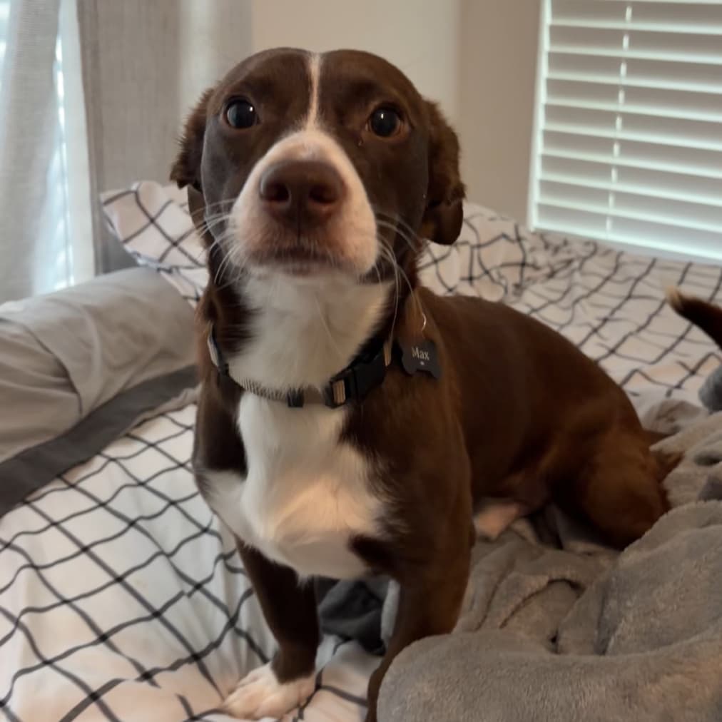 Max