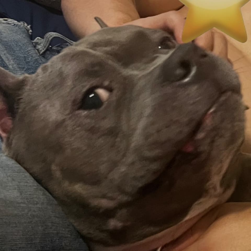 Khaos