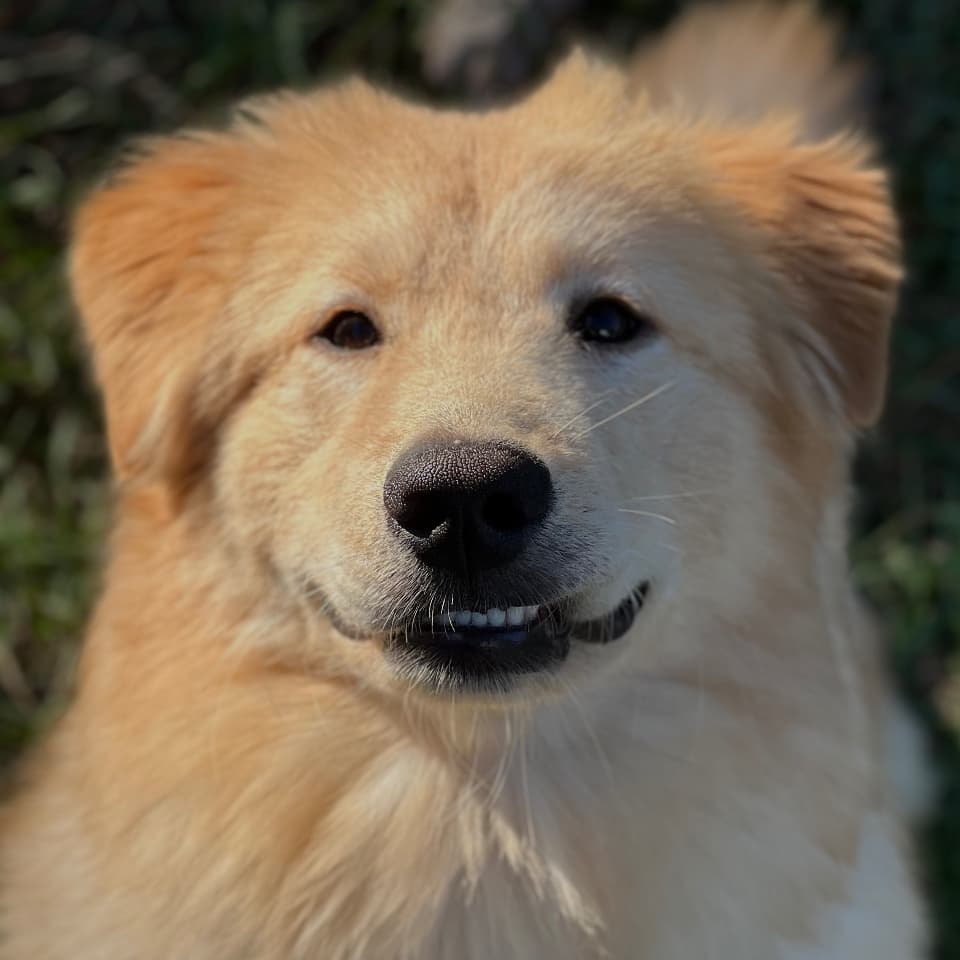 Maggie