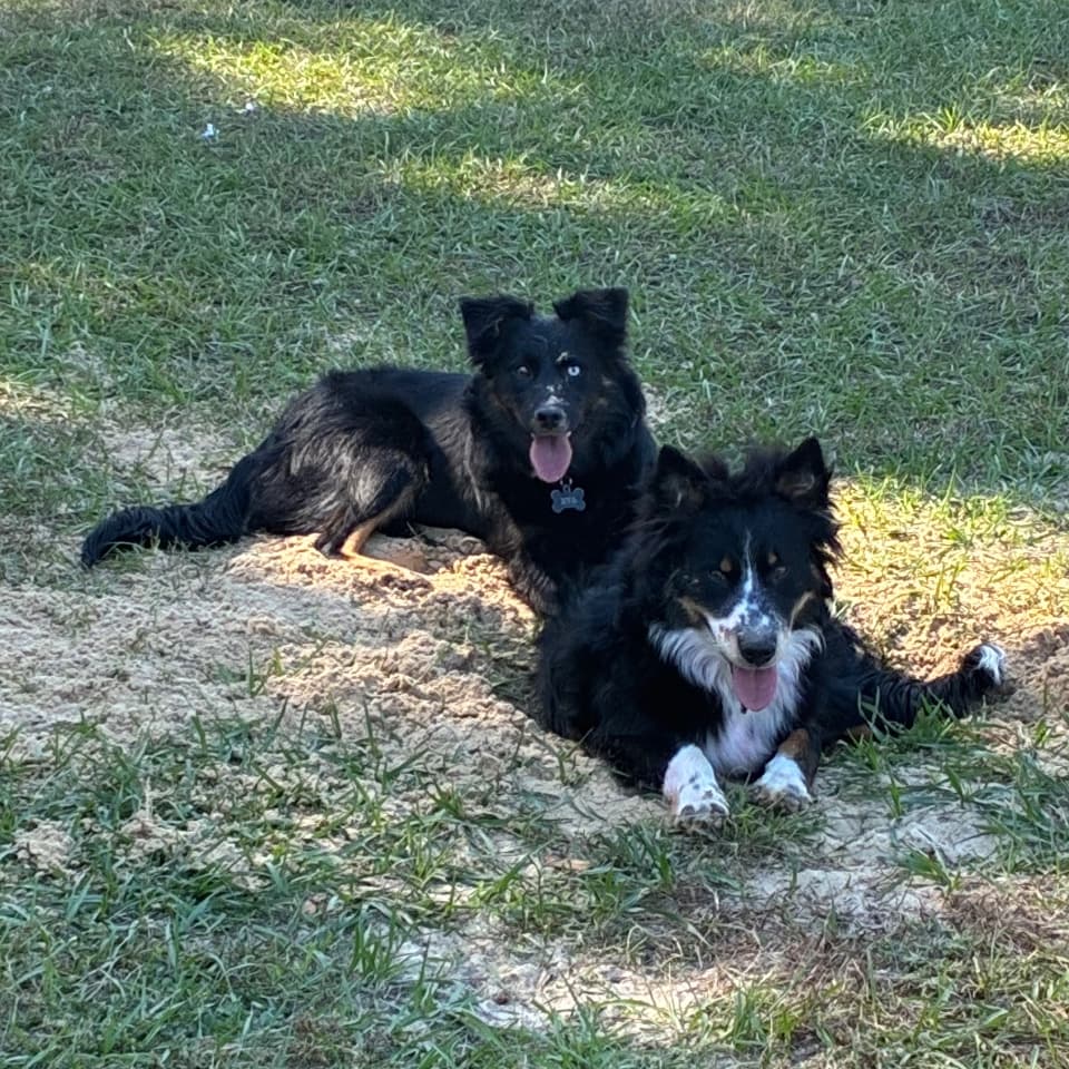 Danny & Eva
