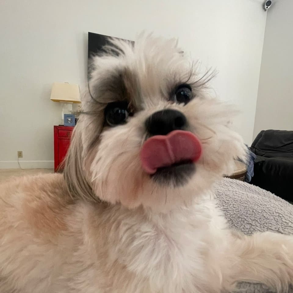 Bailey