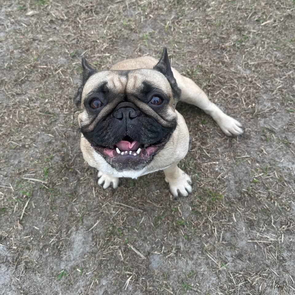Chloe
