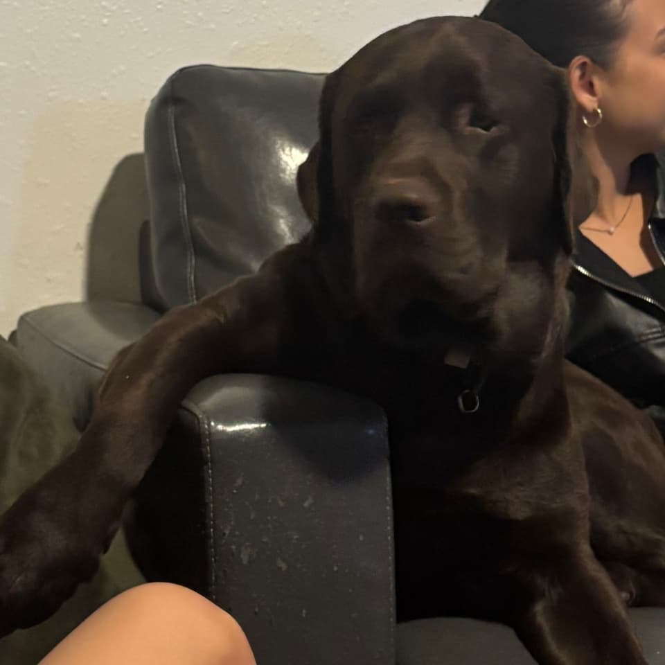 Gauge