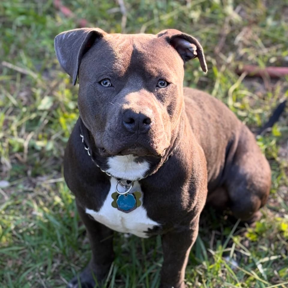 AK
