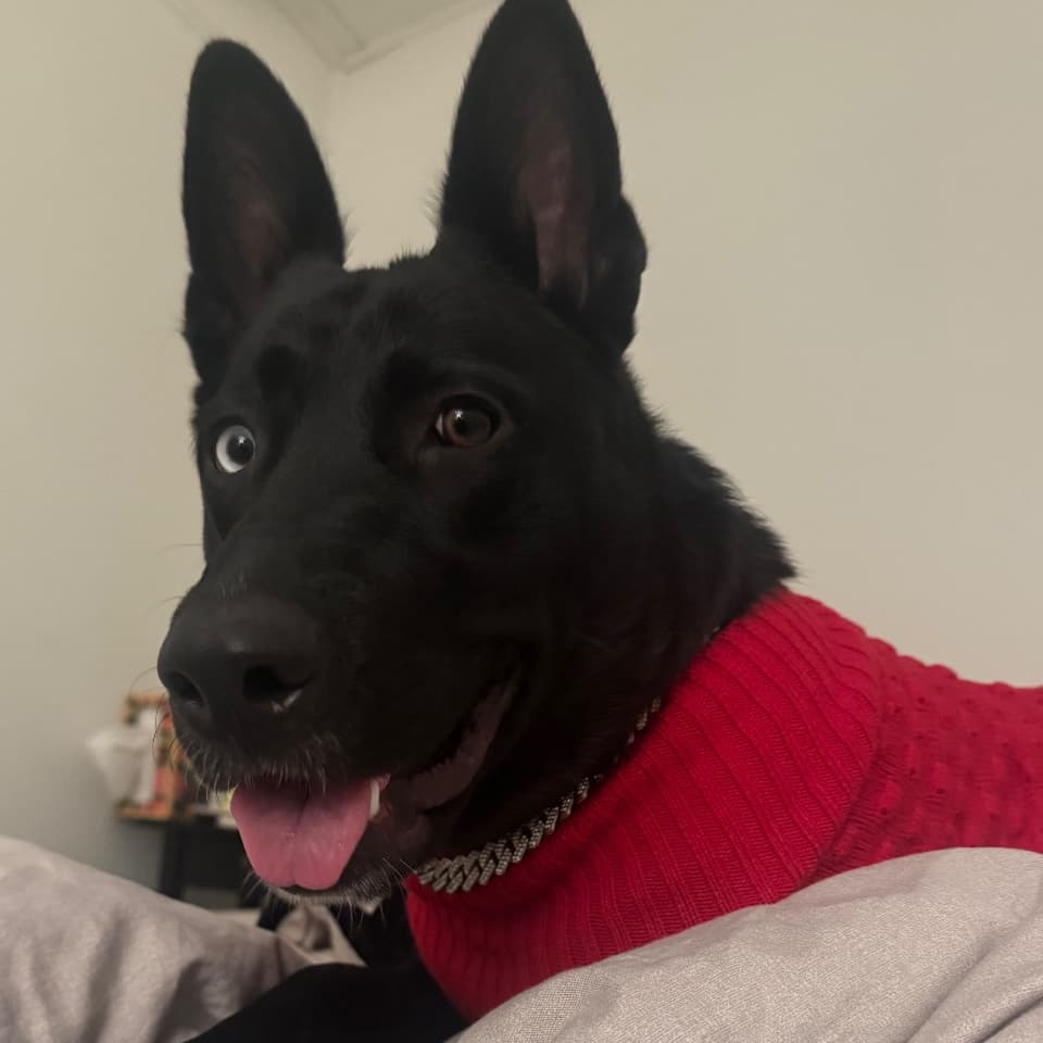 Osita